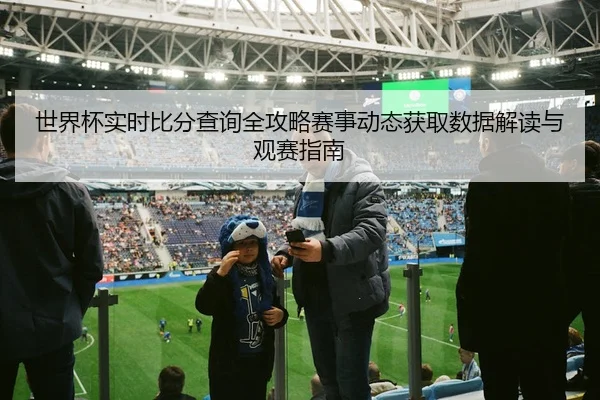 世界杯实时比分查询全攻略赛事动态获取数据解读与观赛指南