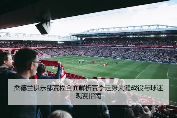 桑德兰俱乐部赛程全面解析赛季走势关键战役与球迷观赛指南