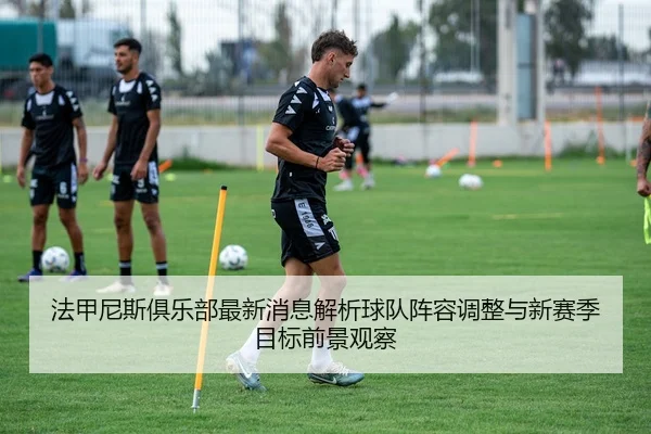 法甲尼斯俱乐部最新消息解析球队阵容调整与新赛季目标前景观察